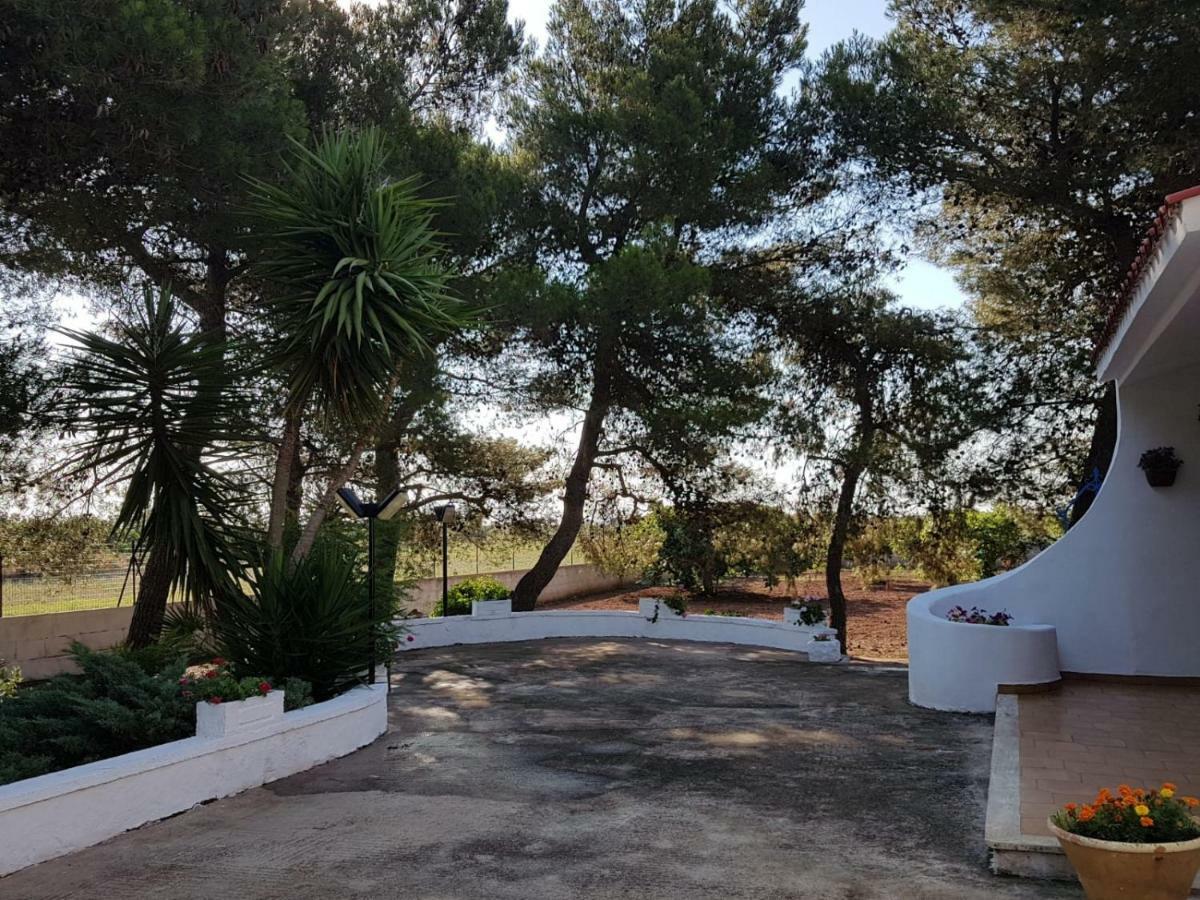 Villa Mina 卡洛维诺 外观 照片