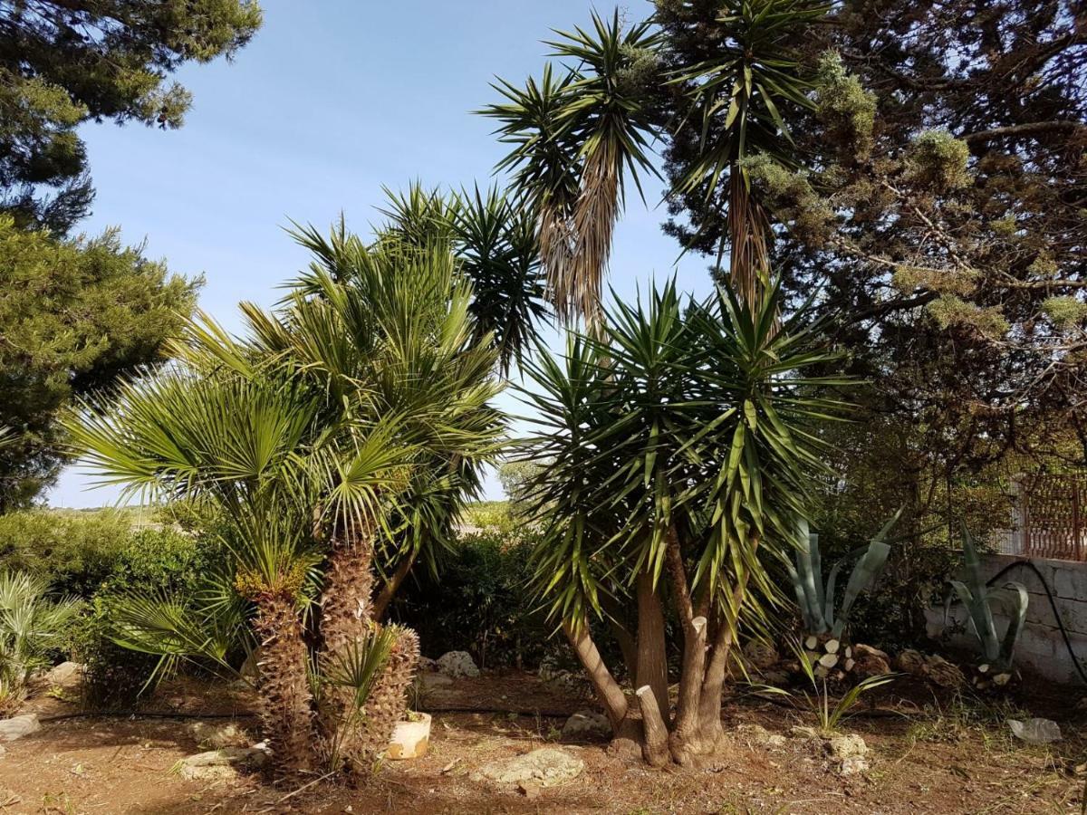 Villa Mina 卡洛维诺 外观 照片