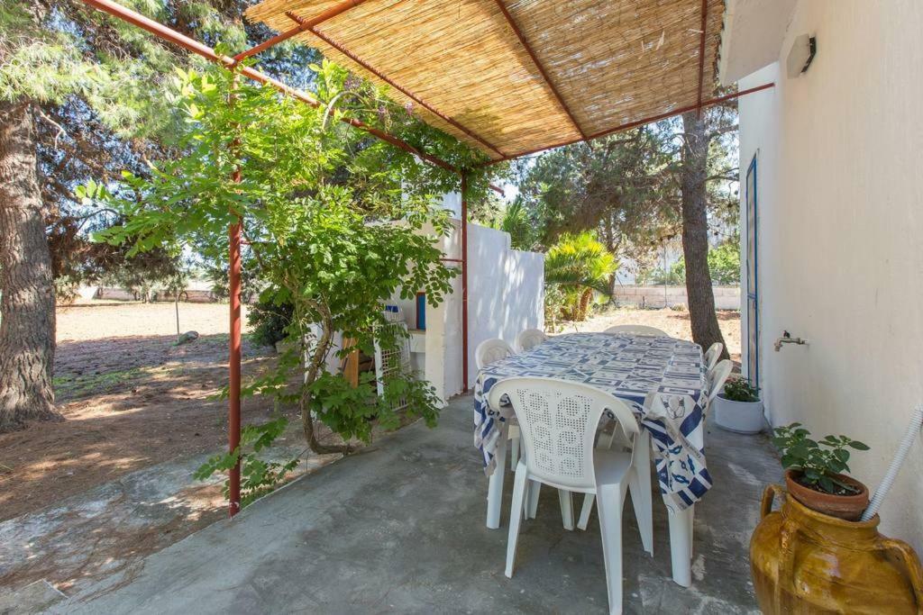 Villa Mina 卡洛维诺 外观 照片